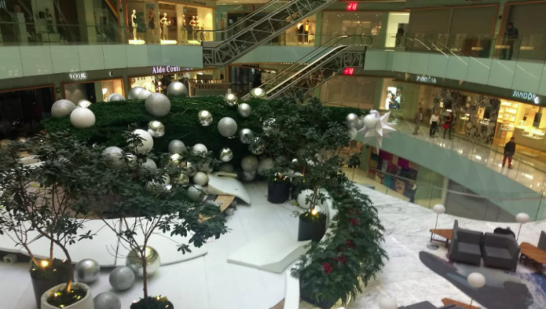 Cae Rbol De Navidad Gigante En Plaza Manacar Deja Un Lesionado