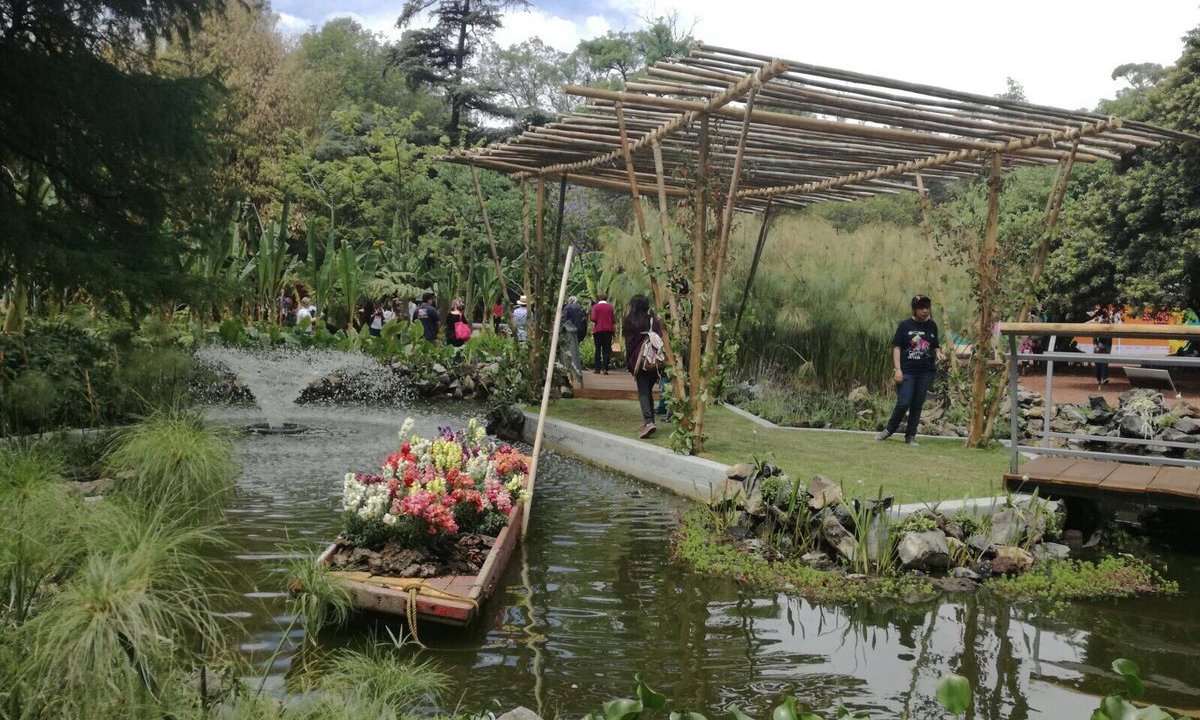 Personas caminando por el jardín botánico de Chapultepec