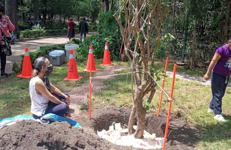 Artista Antonio Gritón a ‘sembrar’ deseos junto a un árbol en el Parque Hundido