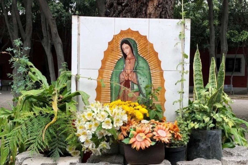 Virgen de Guadalupe Mixcoac - CDMX
