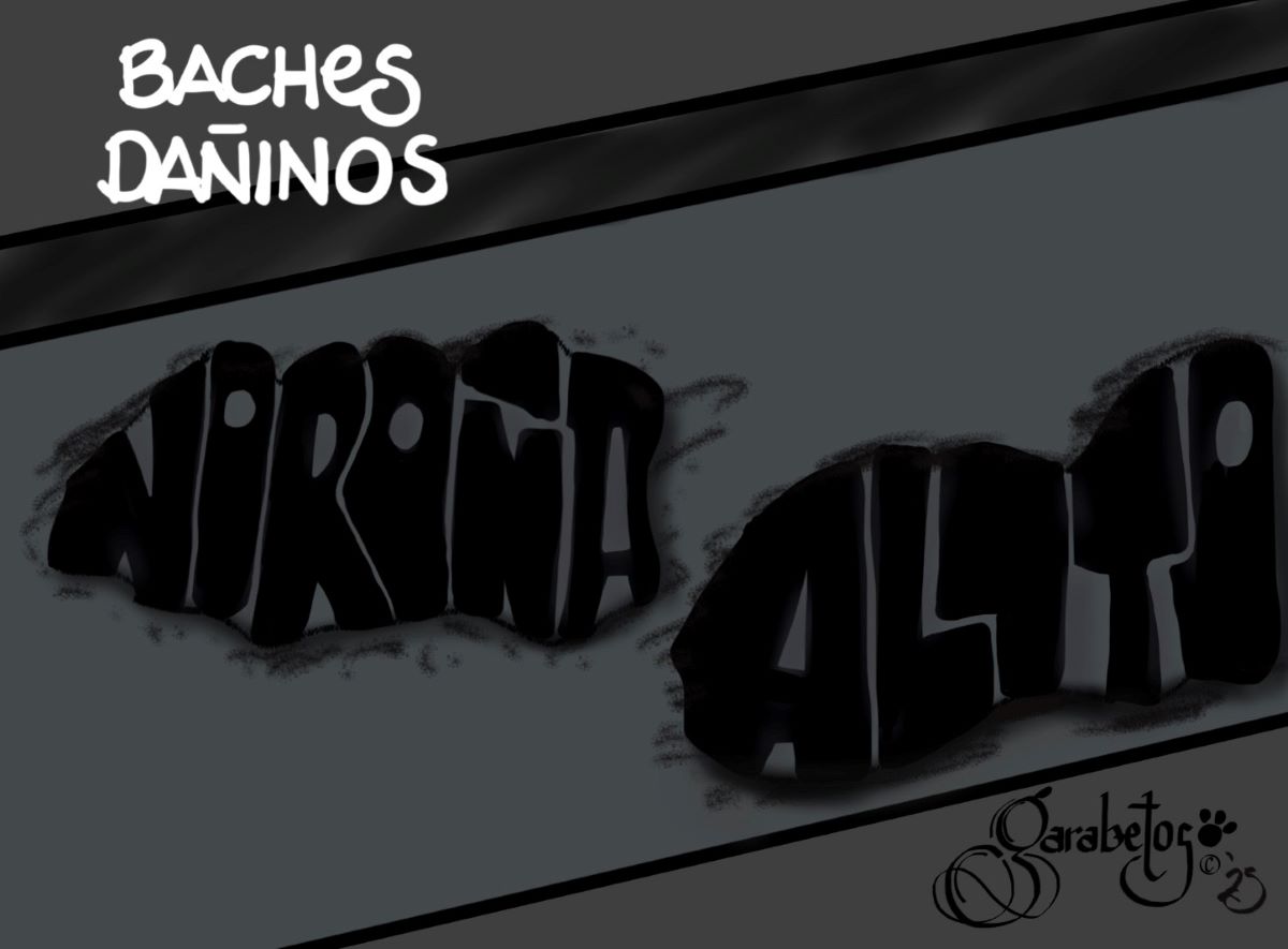 GARABETOS / Baches dañinos