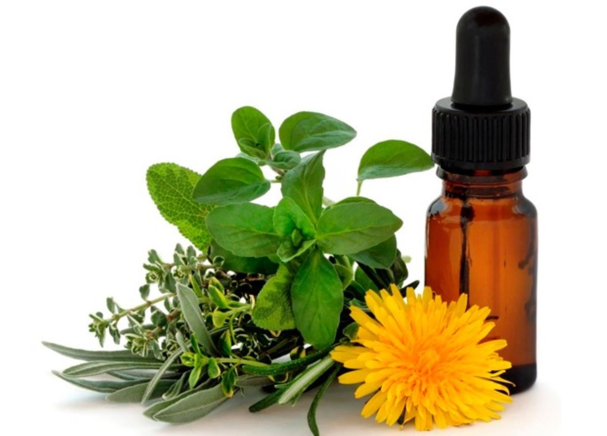 Toda una agenda espiritual en el Instituto de Yoga San Jose Insurgentes