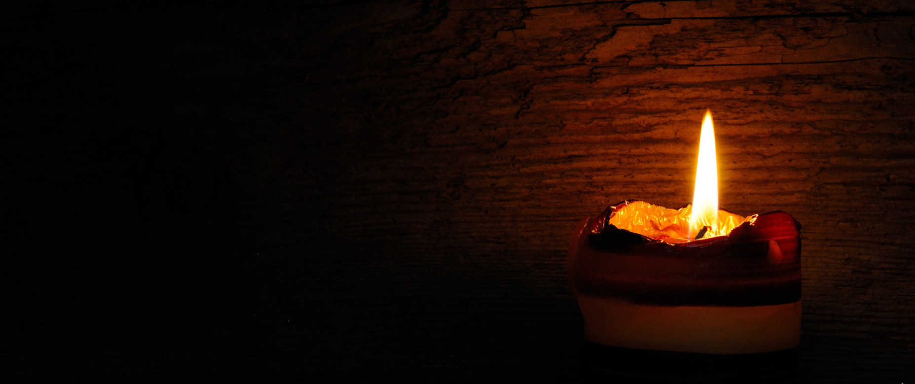 SALDOS Y NOVEDADES/ La luz de la vida