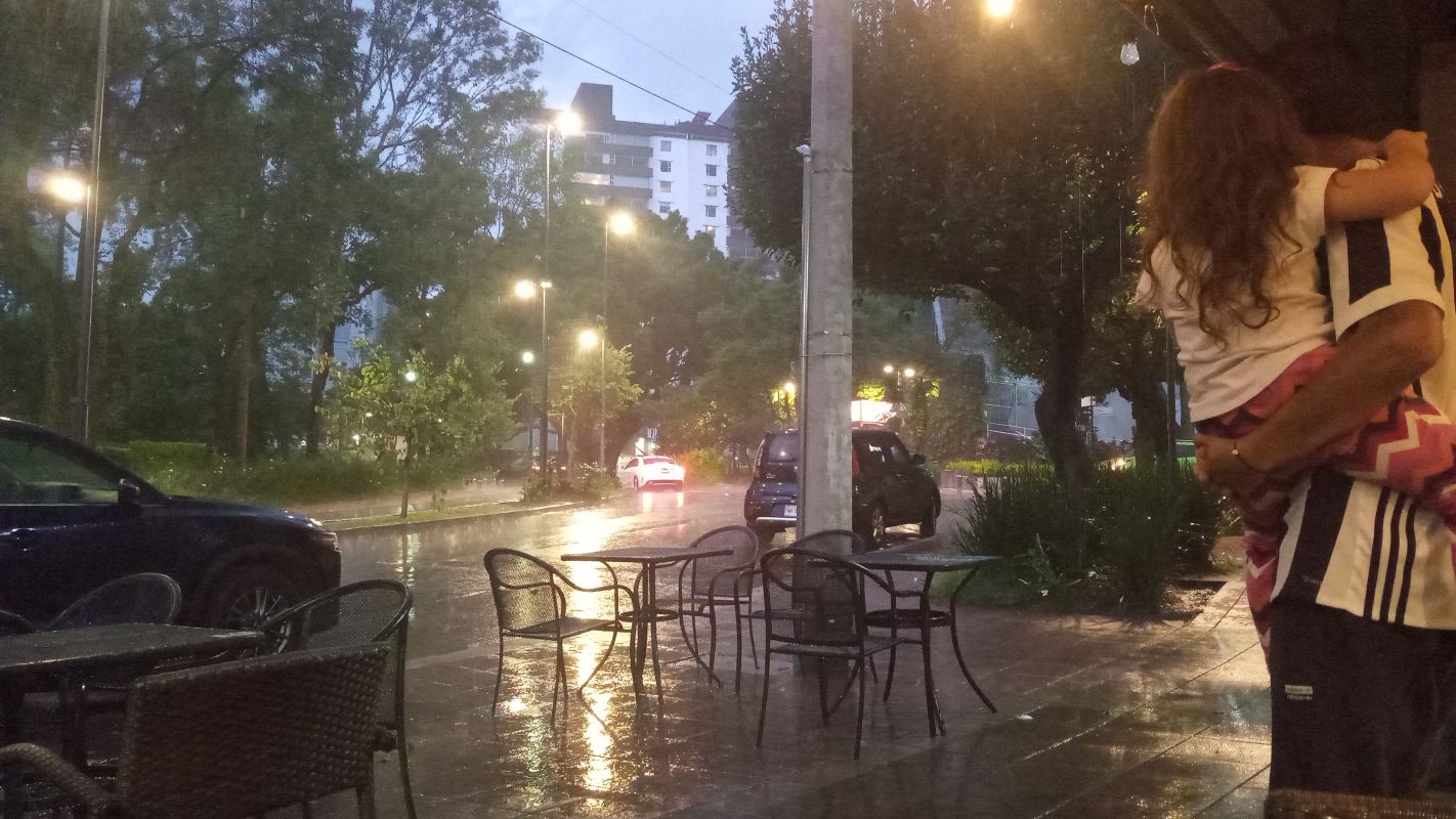 Esta tarde vi llover
