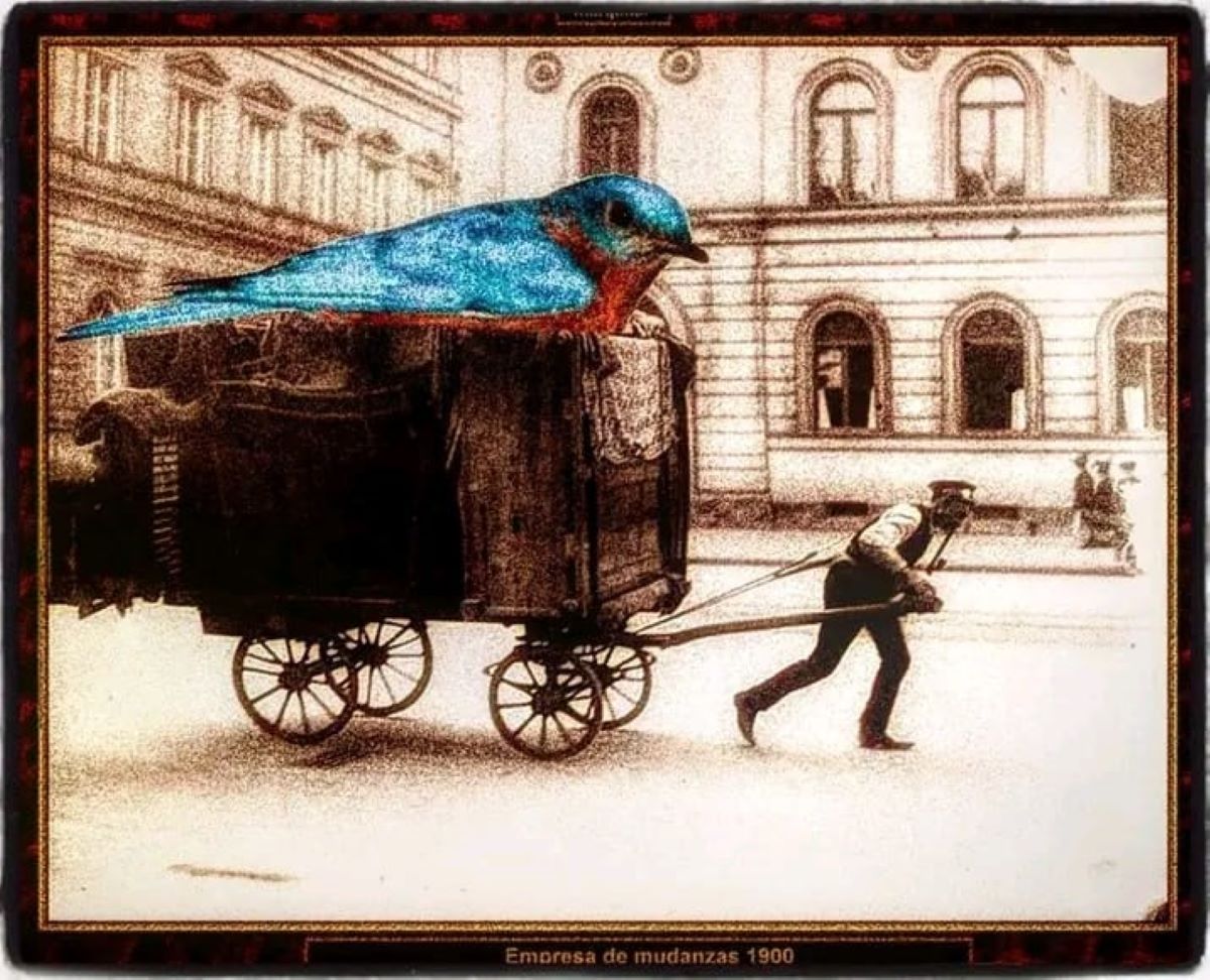 El viaje que siempre dejamos para después